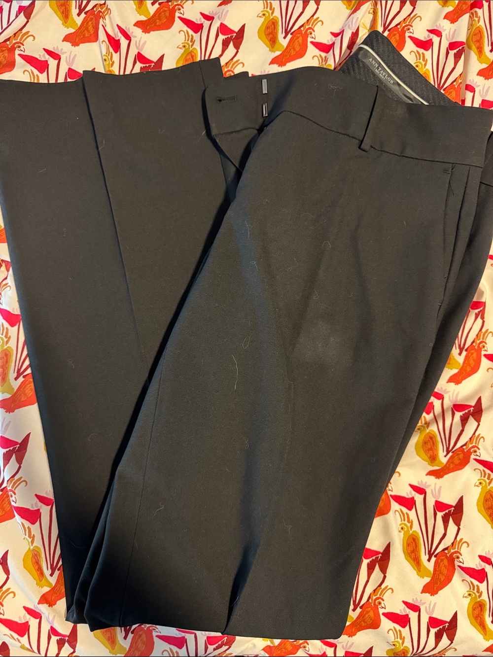 Ann Taylor Black Women's Dress Pants